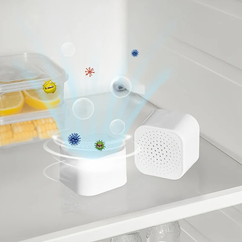 Fridge Deodorizer
